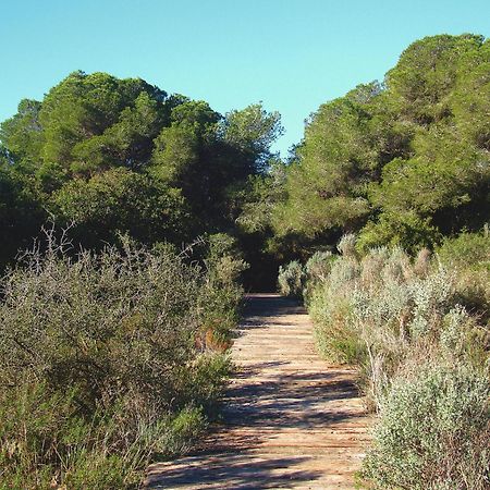 Albufera Dreams Nature Suites Valencia Eksteriør bilde