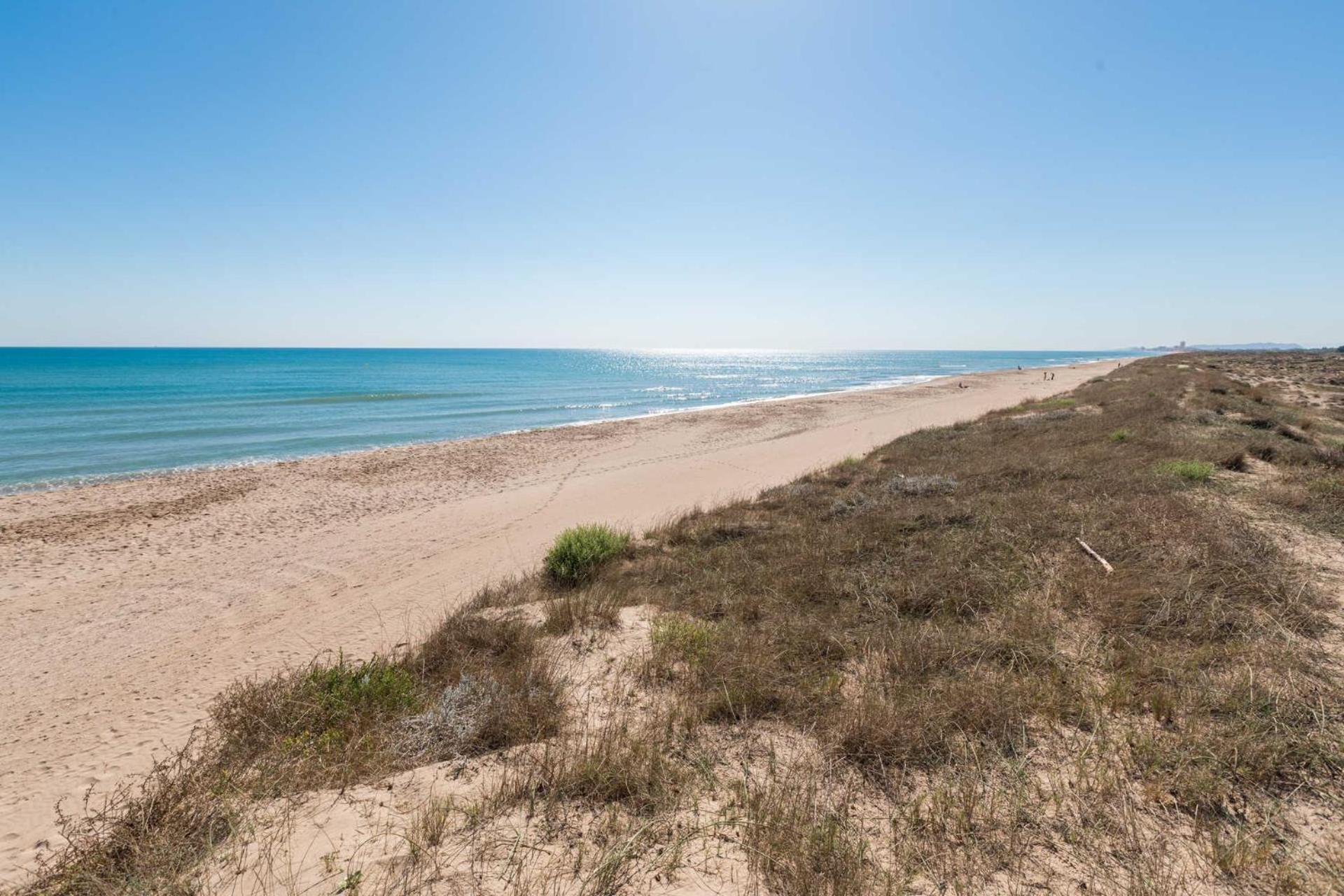 Albufera Dreams Nature Suites Valencia Eksteriør bilde
